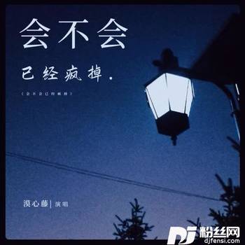 会不会已经疯掉的专辑