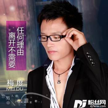 离开不需要任何理由的专辑
