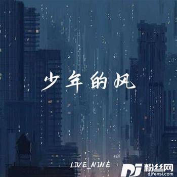 少年的风的专辑