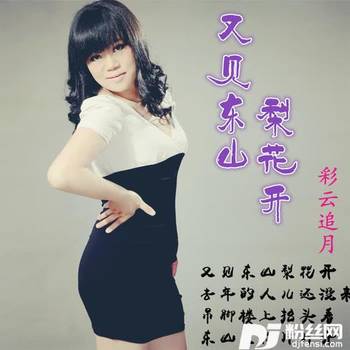 又见东山梨花开的专辑