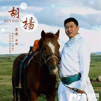 胡杨的专辑