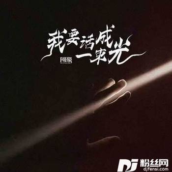 我要活成一束光的专辑