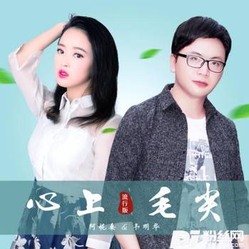 心上毛尖的专辑