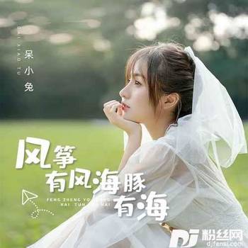 风筝有风海豚有海的专辑
