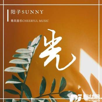 沿途有光的专辑