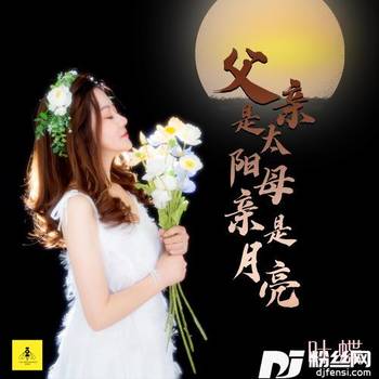 父亲是太阳母亲是月亮DJ神龙版的专辑