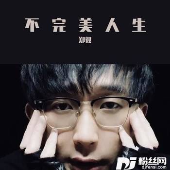 不完美人生的专辑