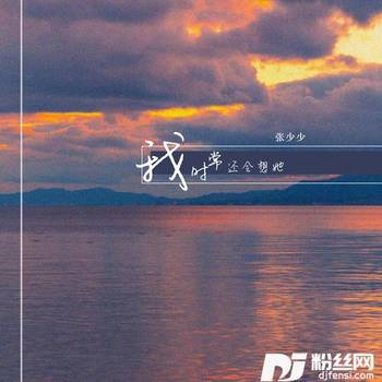 我时常还会想她DJ阳少版的专辑