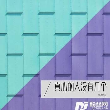 真心的人没有几个DJ尼保版cover:小宝哥的专辑