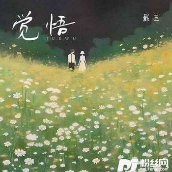 觉悟戴玉版的专辑