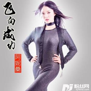 飞向成功的专辑