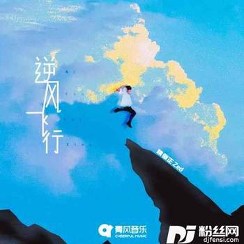 逆风飞行的专辑