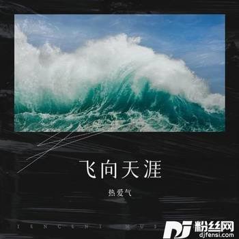 飞向天涯的专辑