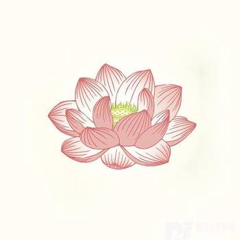 拜的专辑