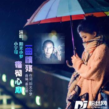 一曲情殇痛心扉的专辑
