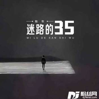 迷路的35的专辑