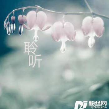 聆听你的声音（小帅版）的专辑
