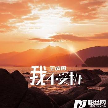我不妥协的专辑