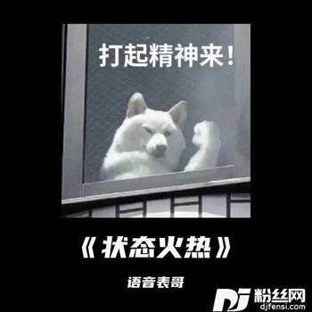状态火热的专辑