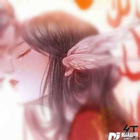 女儿红纯净版的专辑