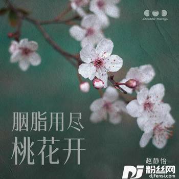 胭脂用尽桃花开的专辑