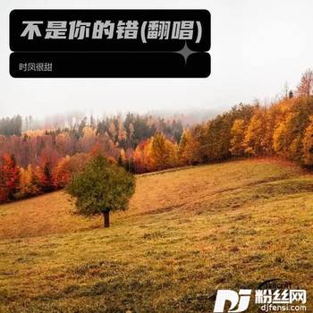 秋来秋去cover:黄江琴的专辑