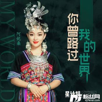 你曾路过我的世界的专辑