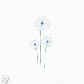 半生烟雨（古筝版）的专辑