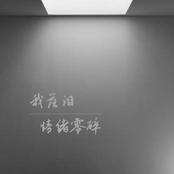 我落泪情绪零碎温柔女声版的专辑