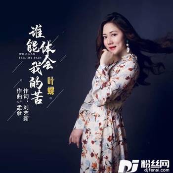 谁能体会我的苦的专辑