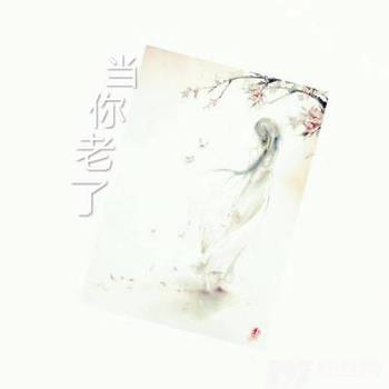 花婆婆（小美版）其他的专辑