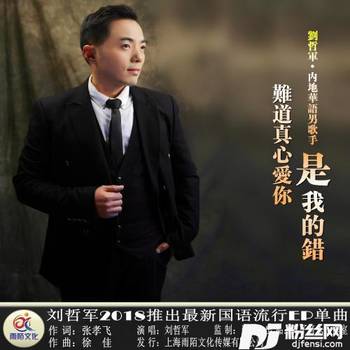 难道真心爱你是我的错的专辑