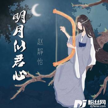 明月似君心的专辑