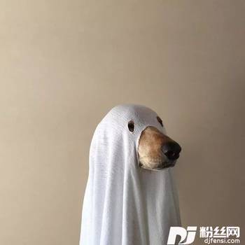 陌生人的专辑
