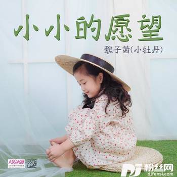 小小的愿望的专辑