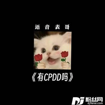 有CPDD吗的专辑