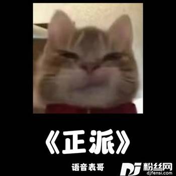 正派的专辑