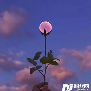 收敛cover:不够的专辑
