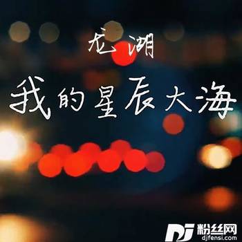 我的星辰大海（女声）的专辑