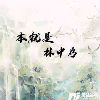 本就是林中鸟终难逃的专辑