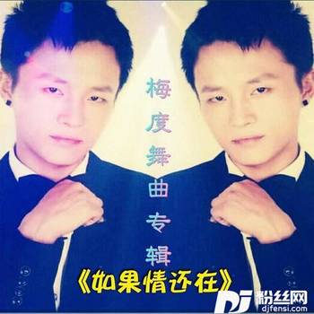 如果情还在舞曲版的专辑