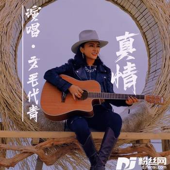 真情的专辑