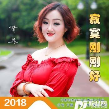 寂寞刚刚好的专辑
