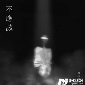 不应该的专辑