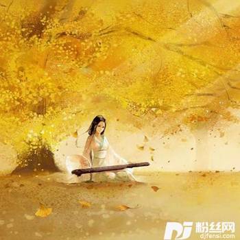 隐入人家的专辑