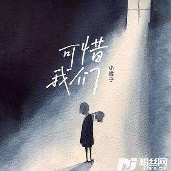 可惜我们的专辑