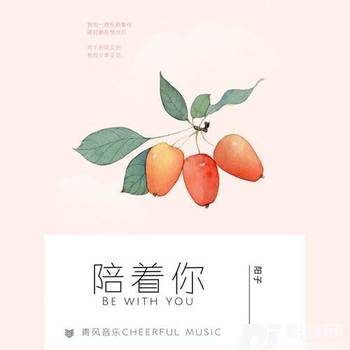 醉里流年的专辑