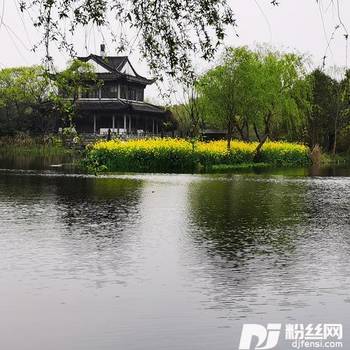 相信你cover:金婷婷的专辑