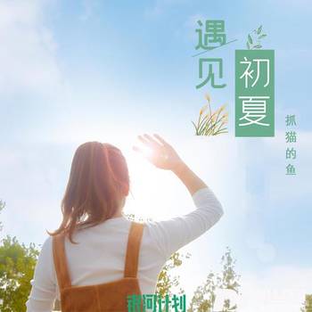 遇见初夏的专辑