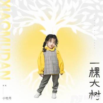 一棵大树的专辑
